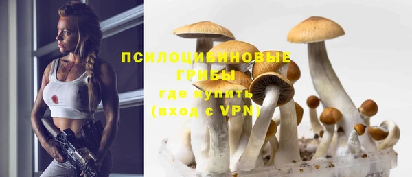 дмт Абаза