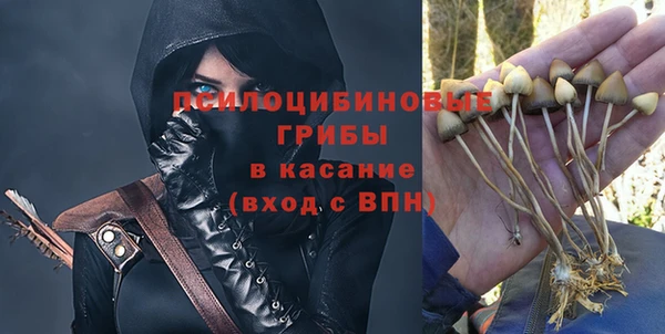 дмт Абаза