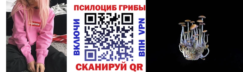 Галлюциногенные грибы Cubensis купить наркотики цена Химки